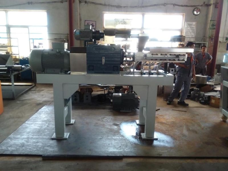 Double Screw Extruding Machine for Powder Coating Production Line