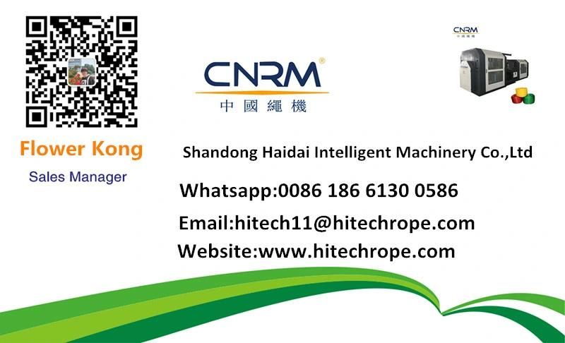 Cnrm Brand New PP Spilt Film Rope Production Line with High Quality