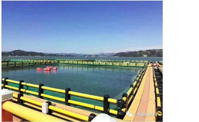 New Products Technology Developed by Jwell Machinery Plastic Fishing Row Pedal Extrusion Line Plastic Machine