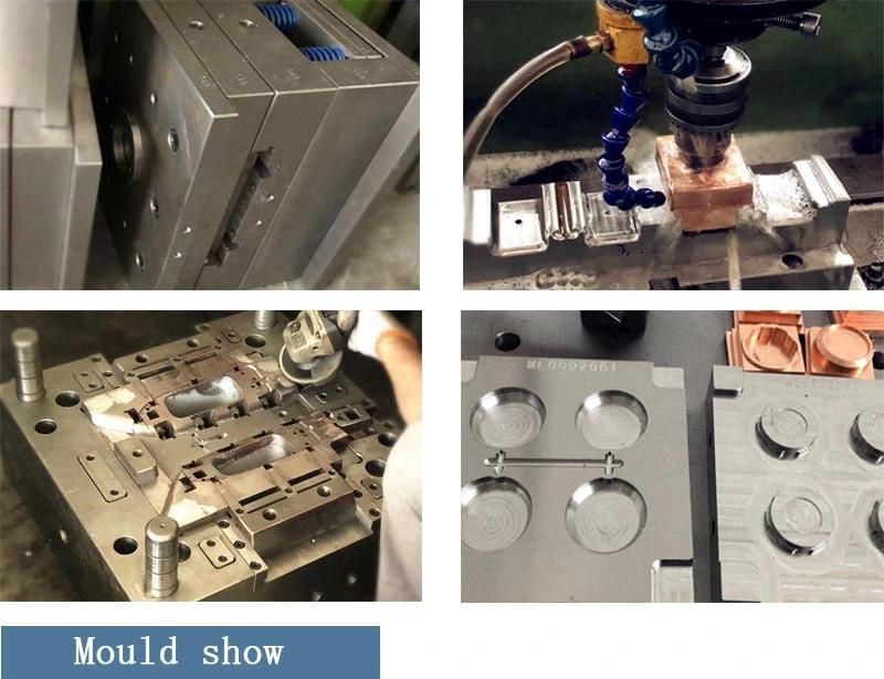 Plastic Injection Casing Mold Making Customed and Manufacture High Precision Tooling and Molding