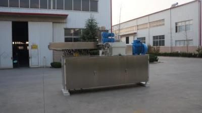 Twin Screw Extruder for Production Powder Coatings