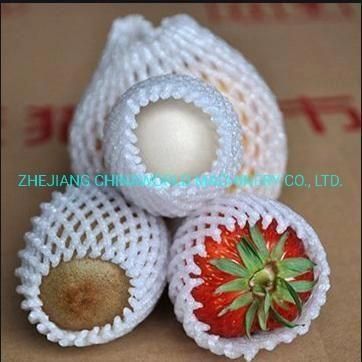 Plastic Extruder Machine Single Screw/ Net Machine for Fruit and Bottle