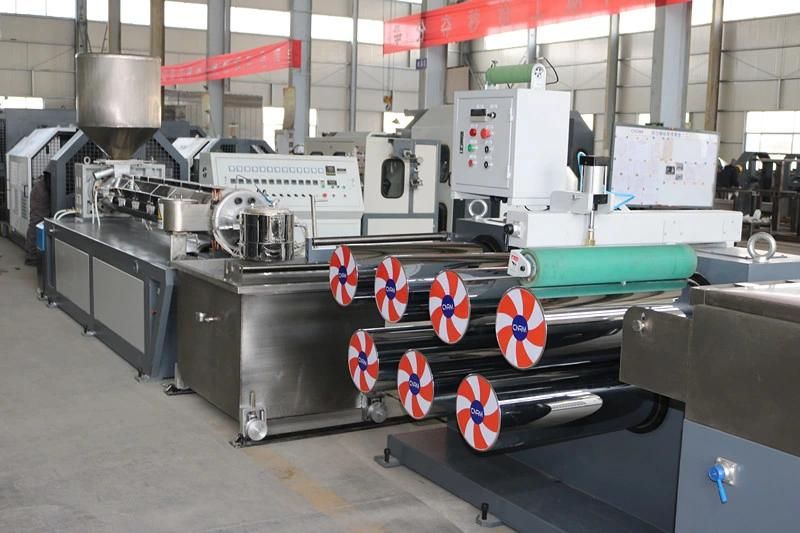 Top Sale Pet/PP/PE Danline Filament Monofilament Drawing Extrusion