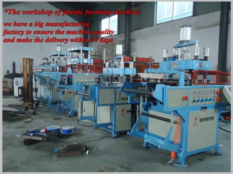 Automatic Plastic Thermoforming Machine Molding Cutting One Progress