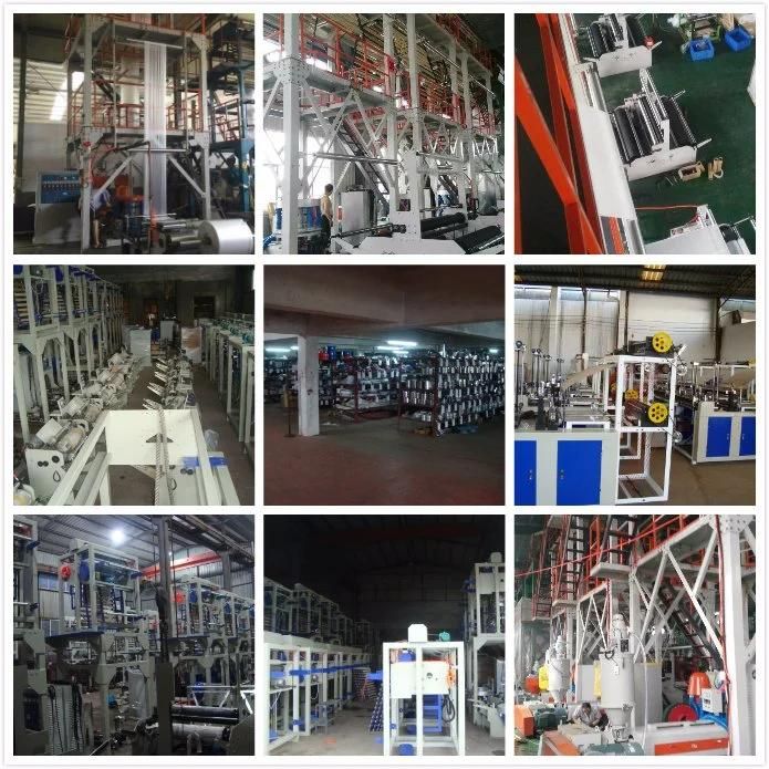 Two Layers Co-Extrusion PE Film Blowing Machine for Packing Bag