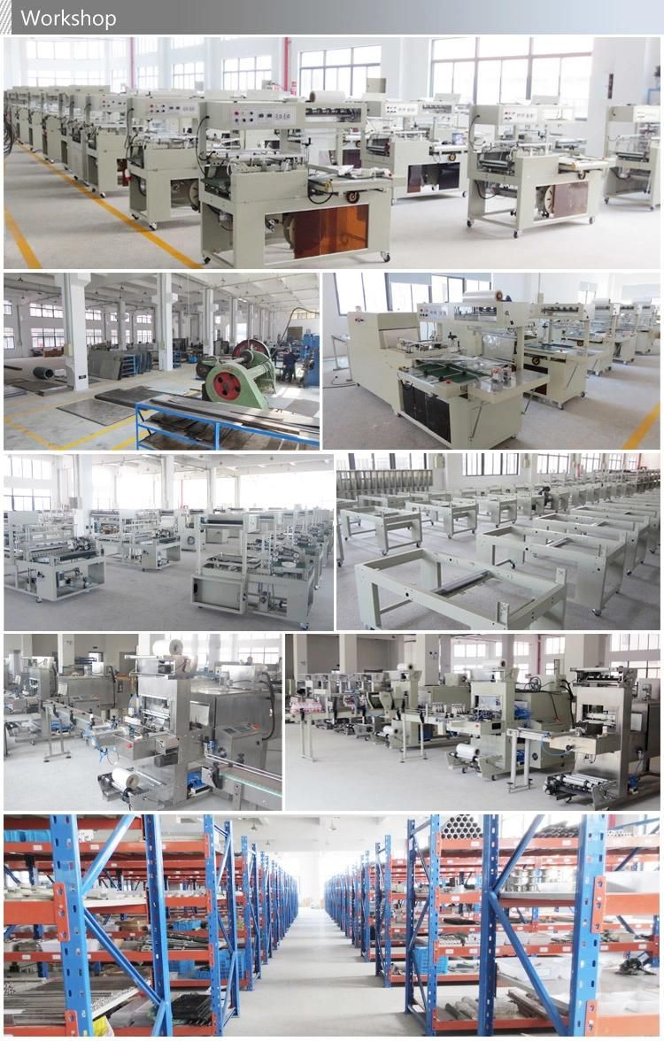 Auto Plastic Thermoforming Machine Lid Thermoforming Machine