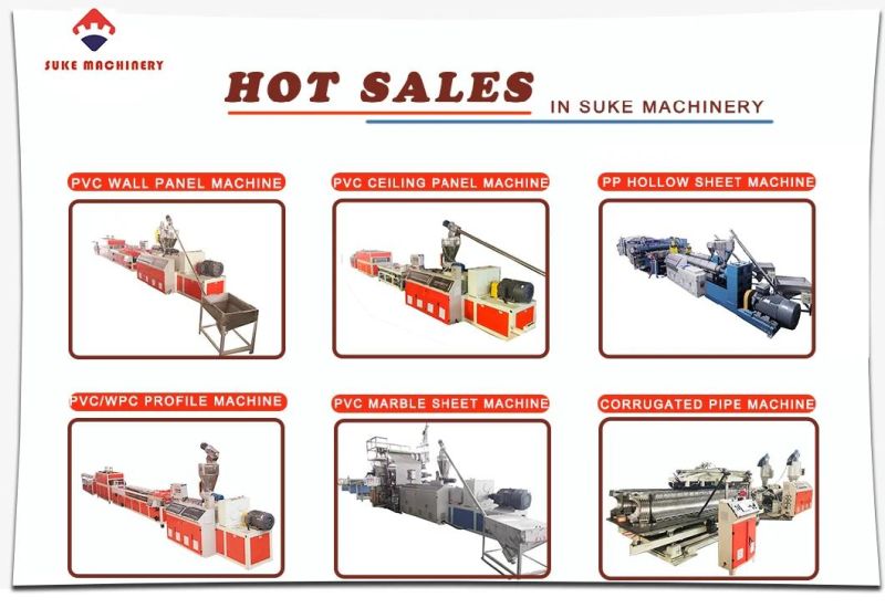 PPR Pipe Extrusion Making Machine Plant Plastic Tube Hose Extrusion Production Line