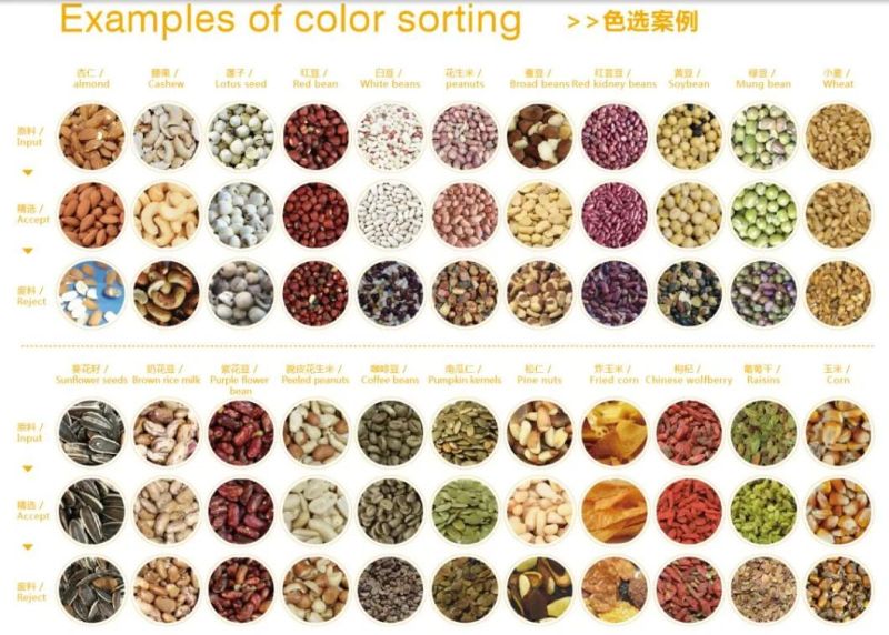 Mini Small White Black Brown Yellow Red Rice Color Sorter