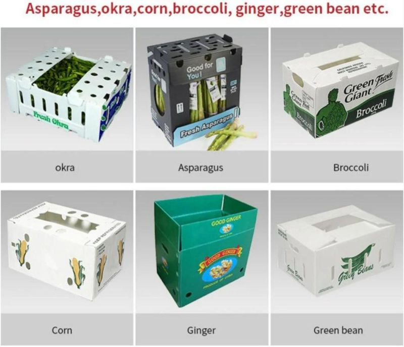 Fluted Polypropylene Durable and Printable PP Corrugated Plastic Sheet Making Machine