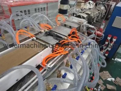 Professional WPC Machinery (SJSZ-65/132)