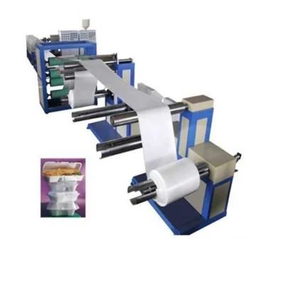 Disposable Foam Food Box Machine PS Foam Sheet Extrusion Line