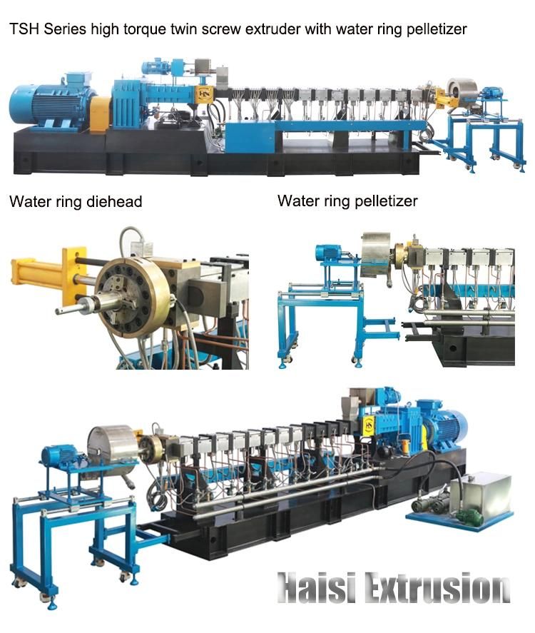 Tse-50 Plastic Compounding Twin Screw Extruder Machine