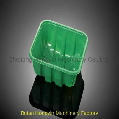 Economical Production in-Mold Cutting Cake Box Container Vacuum Thermoforming Machine
