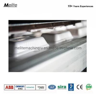 Expanded PS Foam Sheet Extruding Machine PS Foam Tray Machine Mt75/90