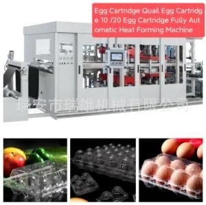 Egg Cartridge Quail Egg Cartridge 10 /20 Egg Cartridge Fully Automatic Heat Forming ...
