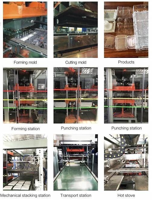 Full Automatic Disposable Plastic Thermoforming Machine