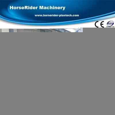 Pet Bottle Flakes Recycling Line