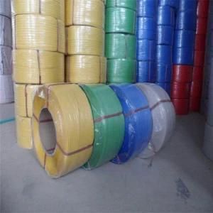 Attractive and Reasonable Price Pet Packing Belt Extruder Machine Line