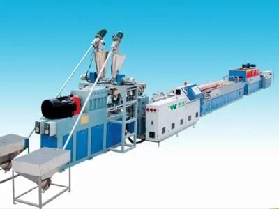 WPC One-Step Plate Extrusion Lines (SWMSH)