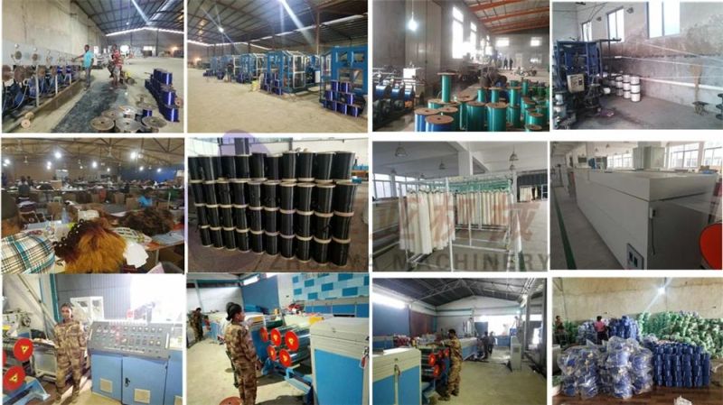 High Quality Pet Monofilament Extruding Line/Extrusion Line/Extruder/Making Machine