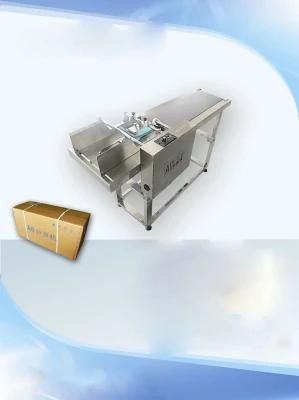 Inkjet Printing Machine Combination Labeling and Paging Machine