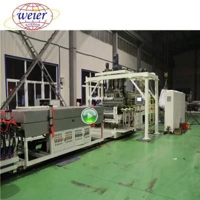 Pet Transparent Roof Sheet Plate Extruding Line in China Top Manufacture