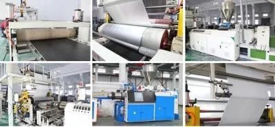 Shanghai Made Packaging Sheet Extruder Line Plastic PLA PP PS Pet Sheet Extrusion ...
