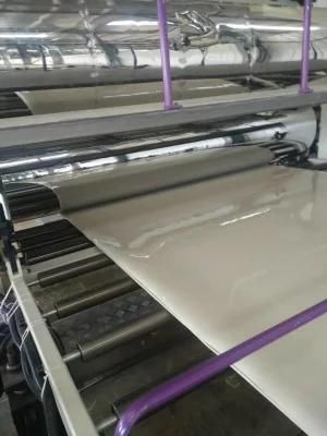 China Famous Brand PP / HDPE Sheet Extrusion Machine Line