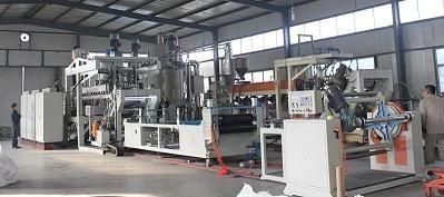 Pet Sheet Production Line