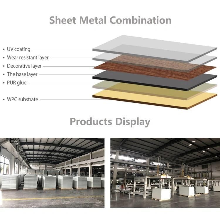 PVC WPC Foam Board/Sheet Extrusion Production Line