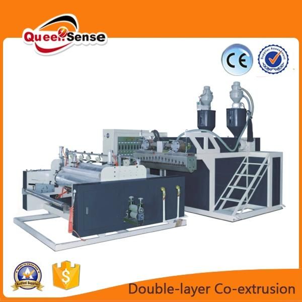 Double Layer Co-Extrusion Stretch Wrap Film Machine