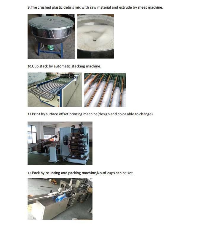PLA Cup/Plate/Dish/Container Thermoforming Machine