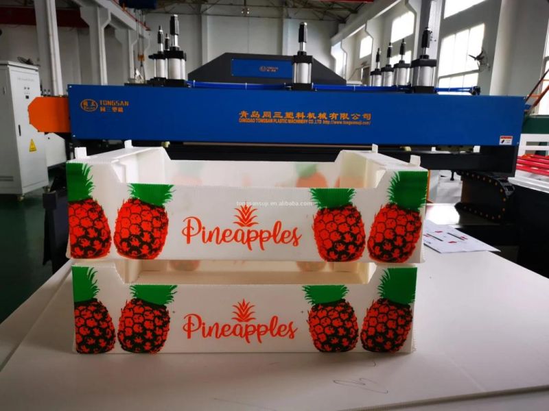 PP/PE/PC Polypropylene Plastic Hollow Grid Corrugated Sheet Board Making Machine/Packing Carton Box Plastic Extruder