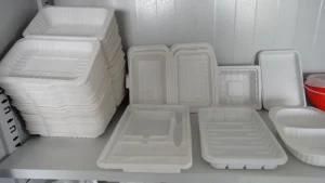 Snack Box/Container/Package Plastic Meal Box Thermoforming Machine