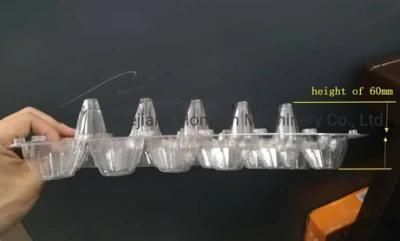 Plastic Pet Container Electronic Component Tray Forming Machine