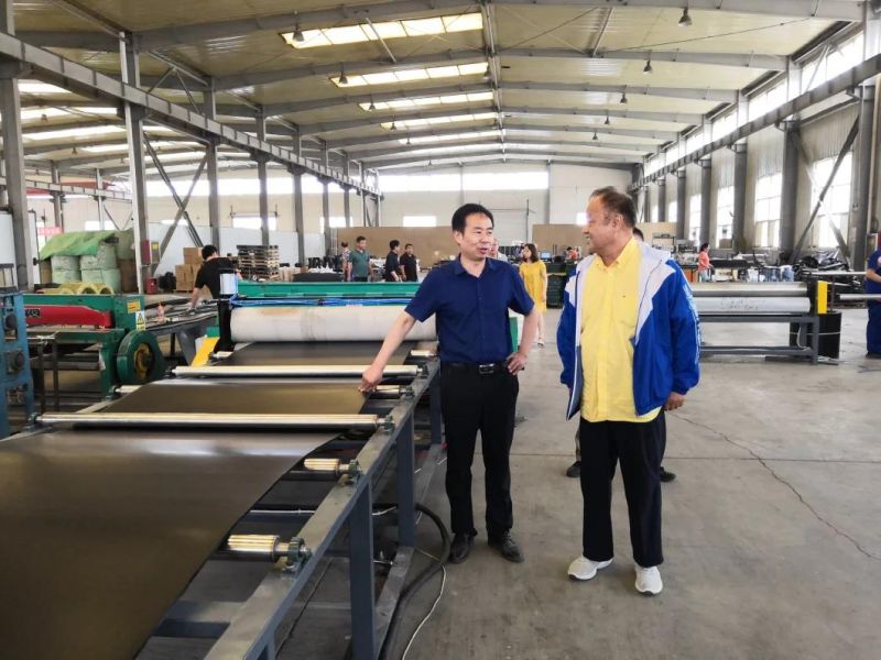HDPE Sheet Extrusion Line PE Film Extruder