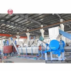 Pet Bottle Flakes Recycling Line