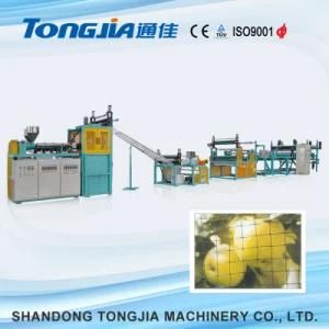 Plastic Rigid Net Extruder Machine