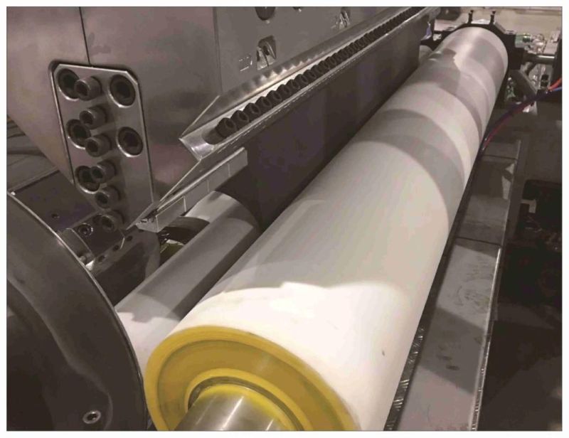 Jwell ASA Film Extrusion