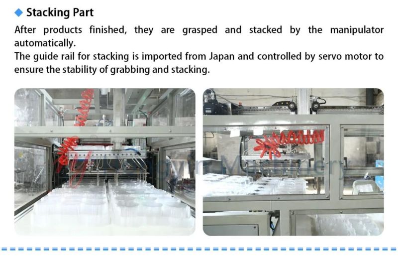 Automatic Plastic Machine with Forming Cutting One Process