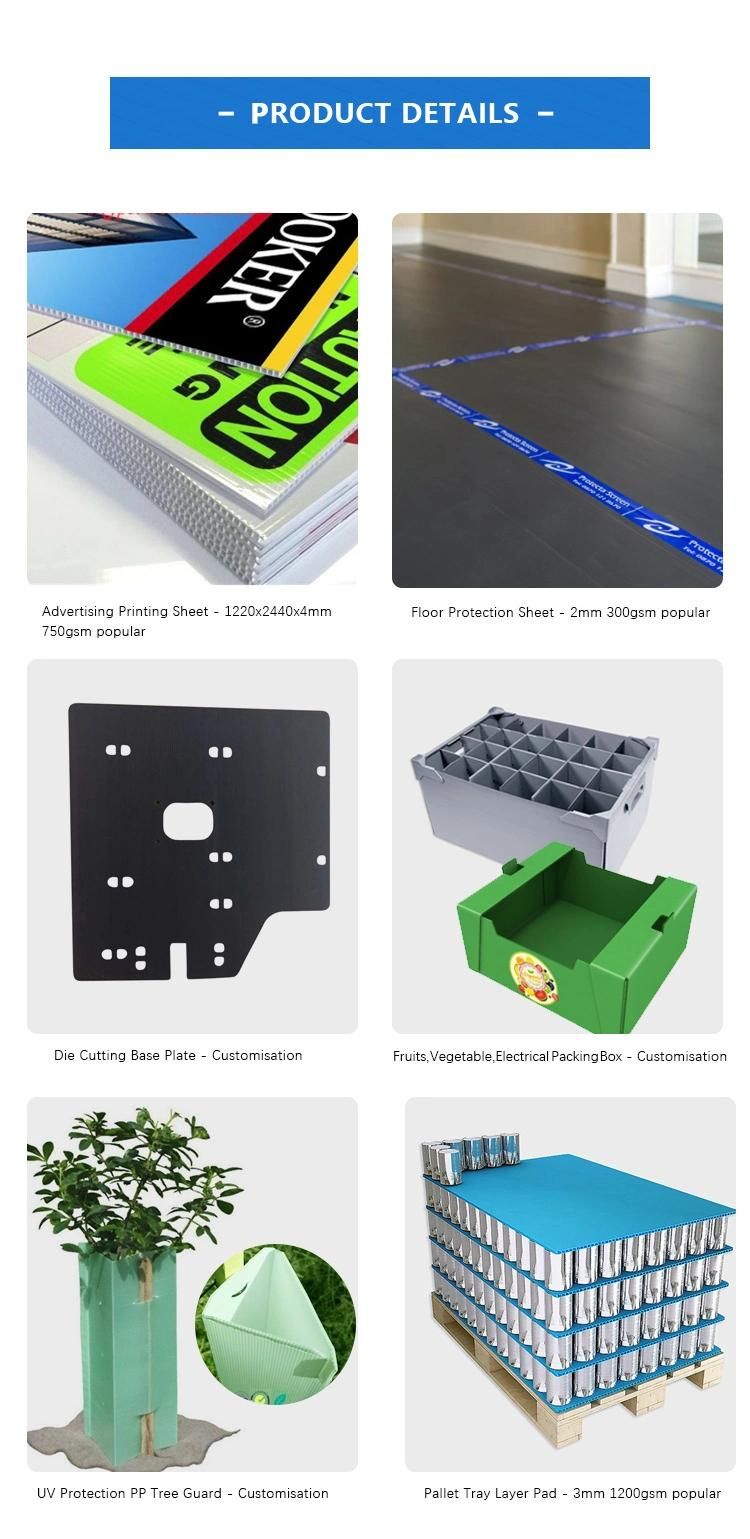 4mm PP Coroplast Plastic Sheet for Floor Protector