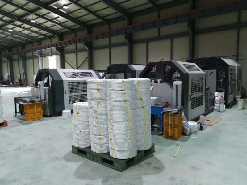 3 Strand Raffia Twisting Nylon Polyester PP PE Monofilament Danline Plastic Baler Twine Rope Making Machine for Sale