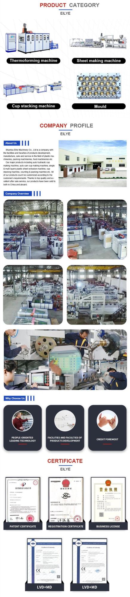 Economic Stylish Double-Screw Pet Plastic Cup Sheet Extrusion Machine