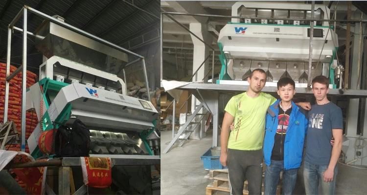 Plastic Bottle Flakes Color Separation Machine for Plastic Recycling Line