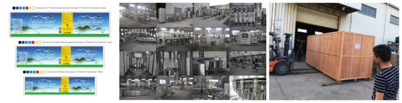 China Mineral Water Plastic Bottle Blow Molding Machine