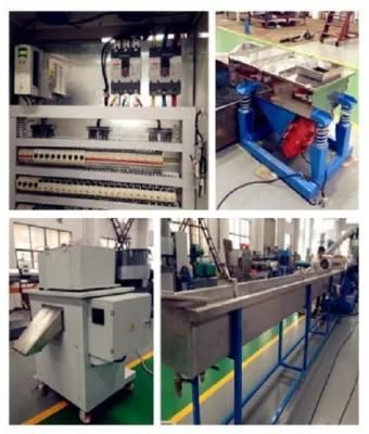 PP PE Flake Pelletizing Line-Spaghetti Cutting