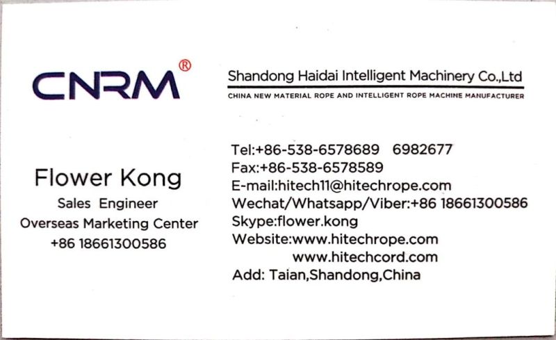 PP HDPE Flat Film Raffia Film Yarn Extruder