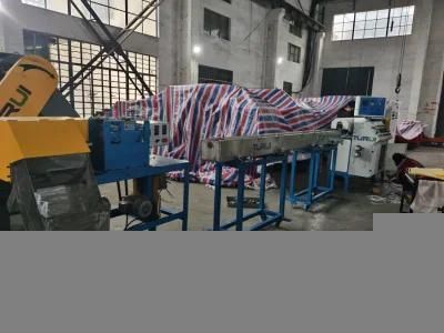 PLA Extrusion Plastic Extrusion Line Drinking Straws Making Machine/Extruder