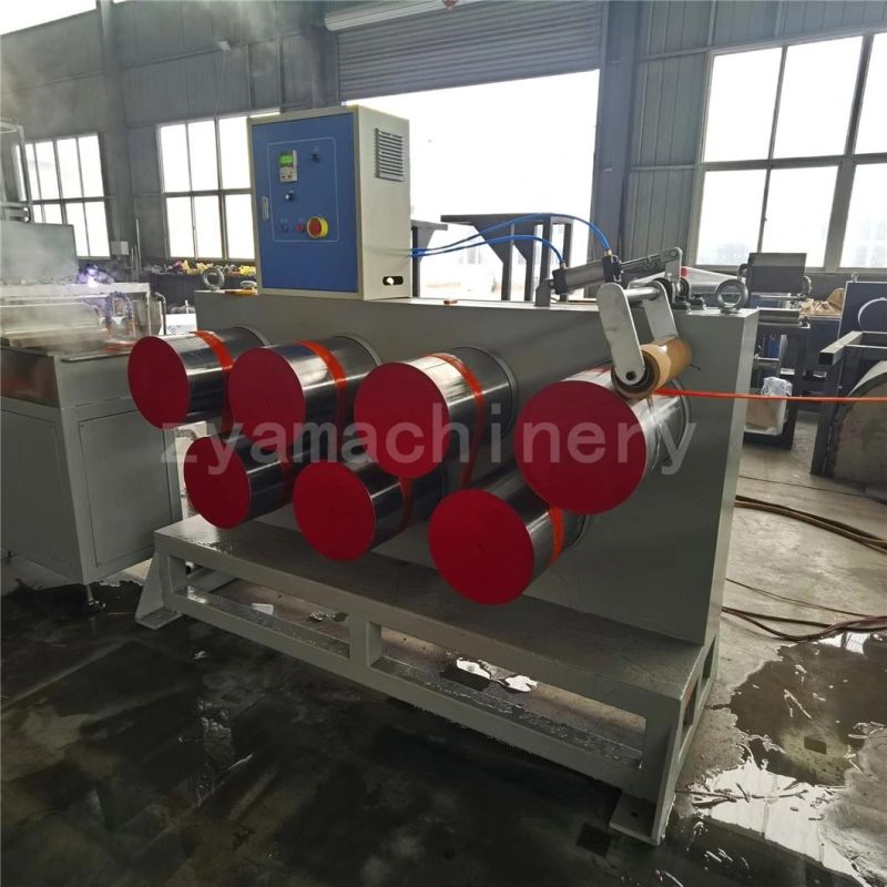 Plastic Pet Filament/Fiber/Monofilament Making Extruding Equipment Machine Line