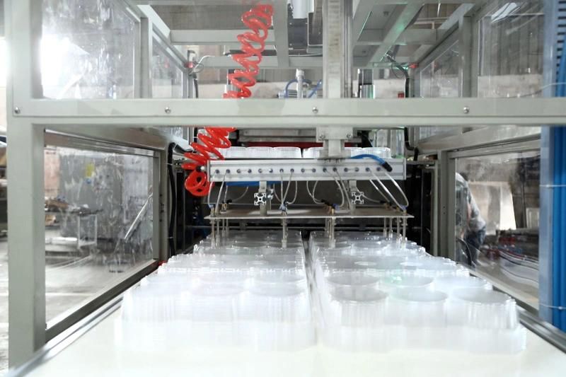 Automatic Plastic BOPS/Pet/PVC/HIPS Thermoforming Machine